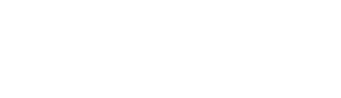 https://www.lyon.fr