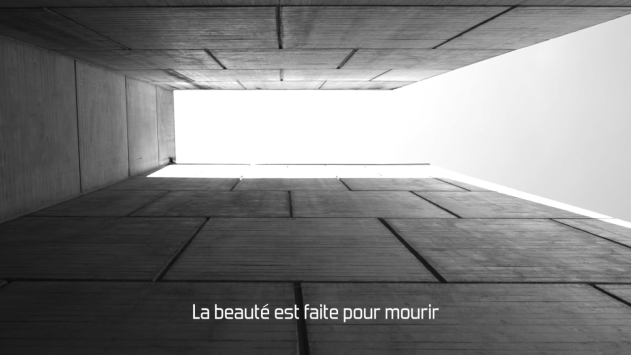 Installation de Sébastien Lacroix « Les ombres monolithes »