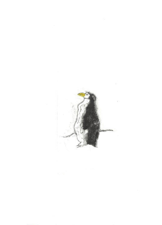 Un drôle de pingouin