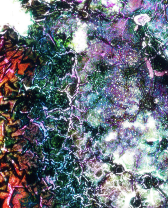 EXTENDED SPECTRUM