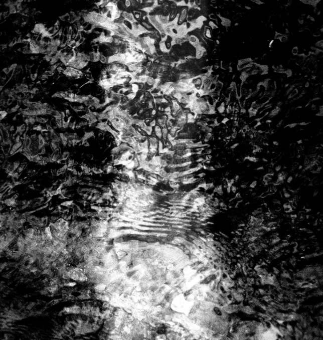 CE QUE L'EAU RACONTE