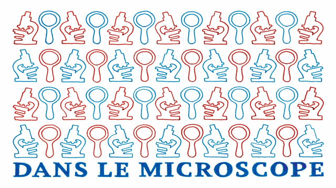 Dans le microscope