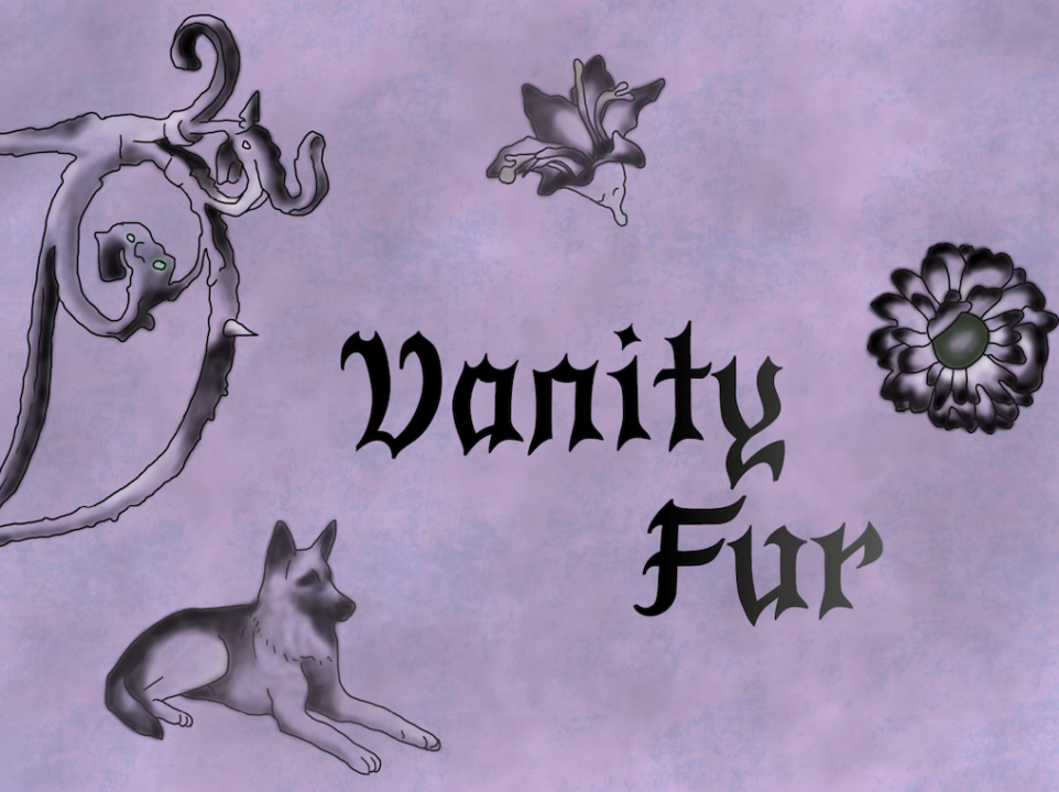 VANITY FUR 