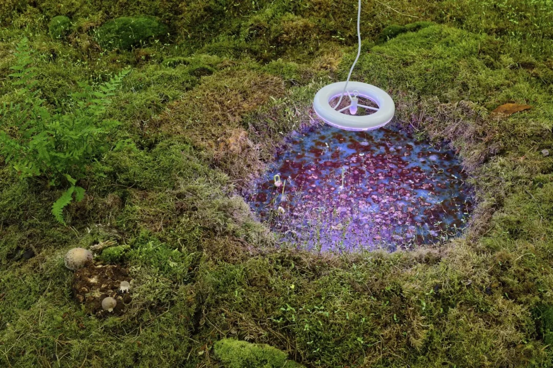 Whispering Architectures