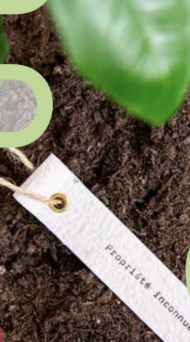 Le jardin où nous existons pour correspondre à distance