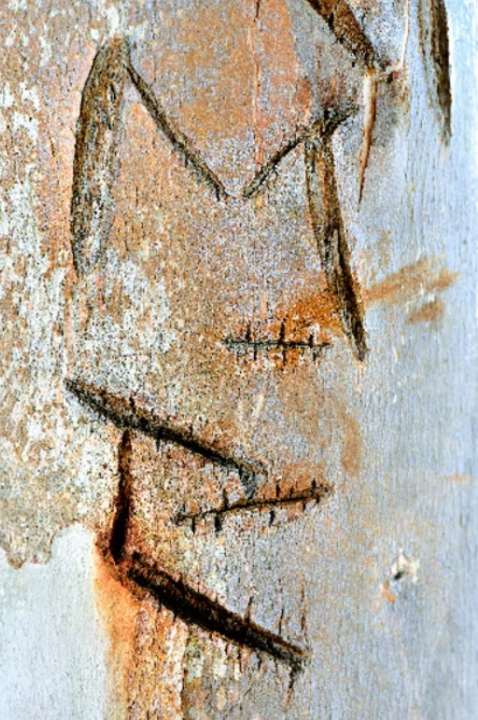 Estafilades en Nouvelle-Calédonie