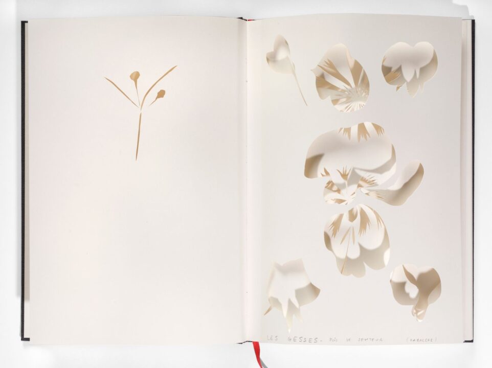 DDA-AuRA - Christine Crozat