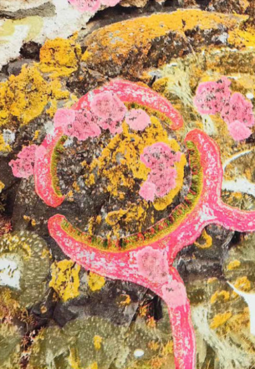 Restitution de résidence