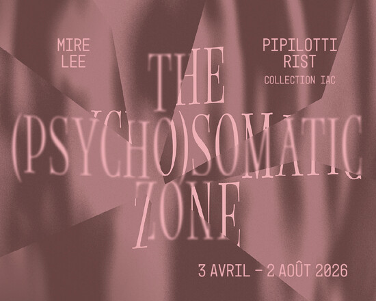THE (PSYCHO)SOMATIC ZONE