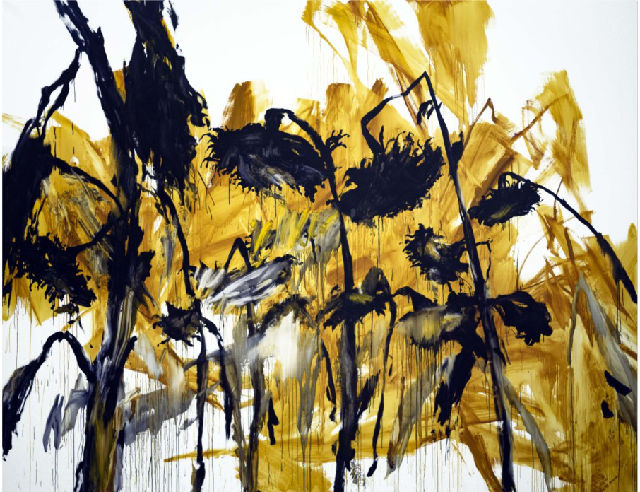 J'ai débordé pour voir plus grand