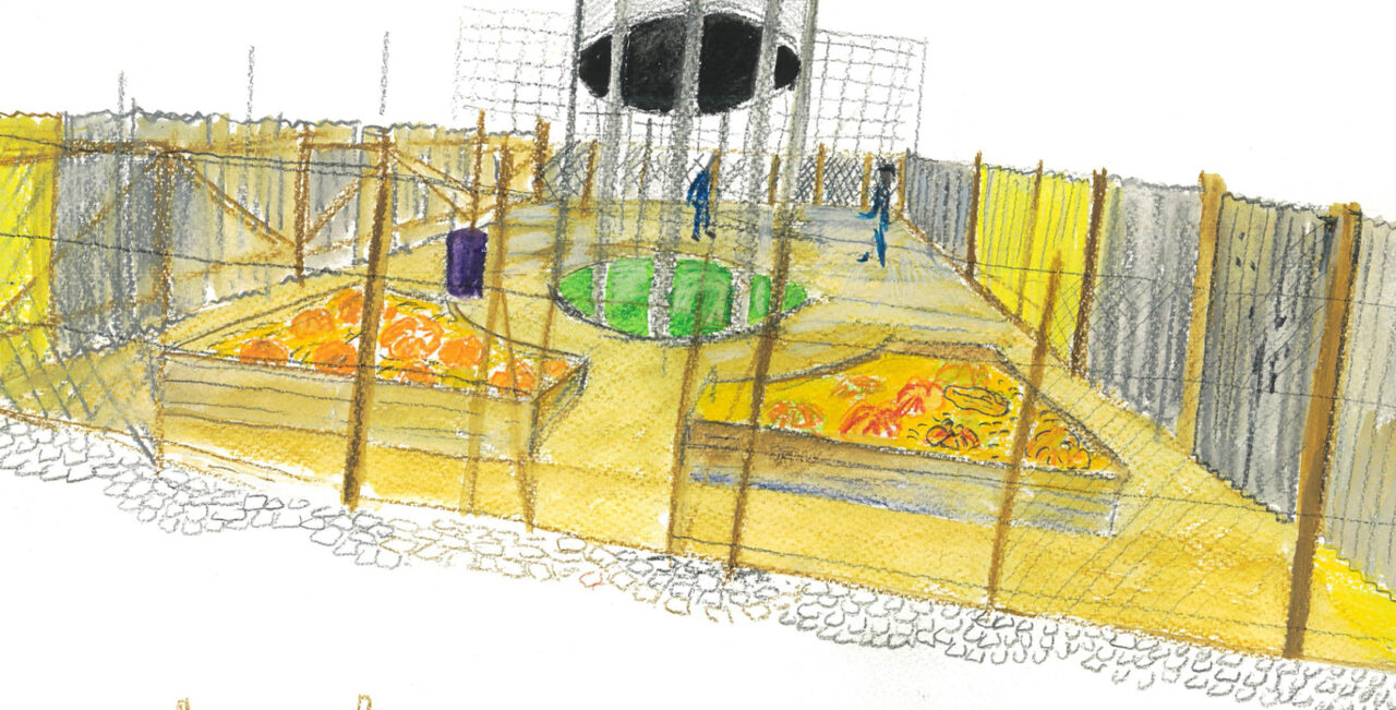 L'horizon d'une prairie