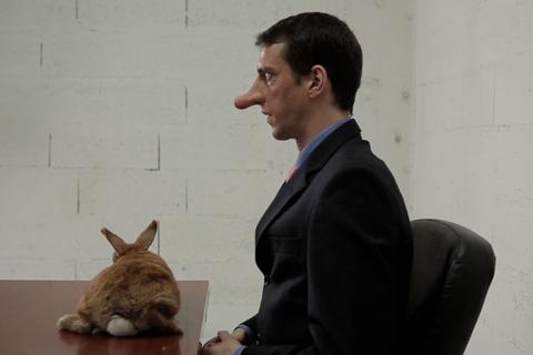 Cycles de projections de la collection Lemaître