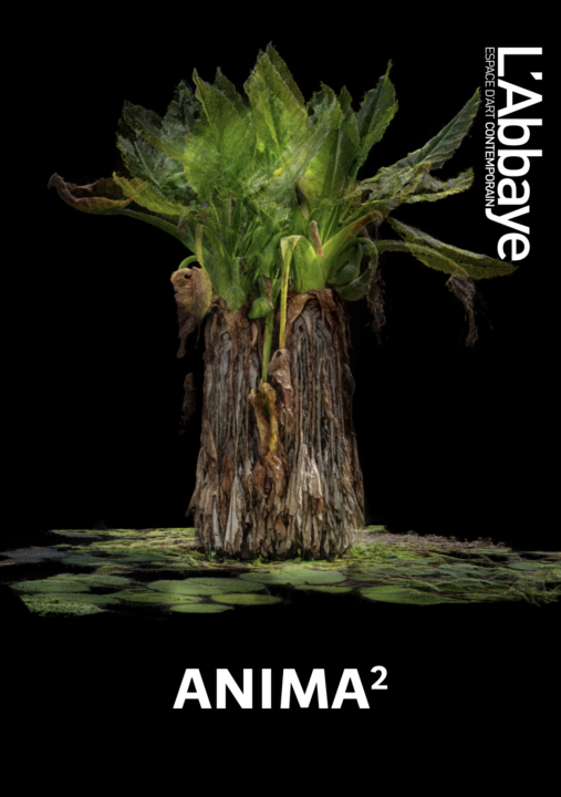 Anima2