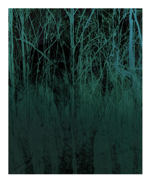 Forêt Mystique