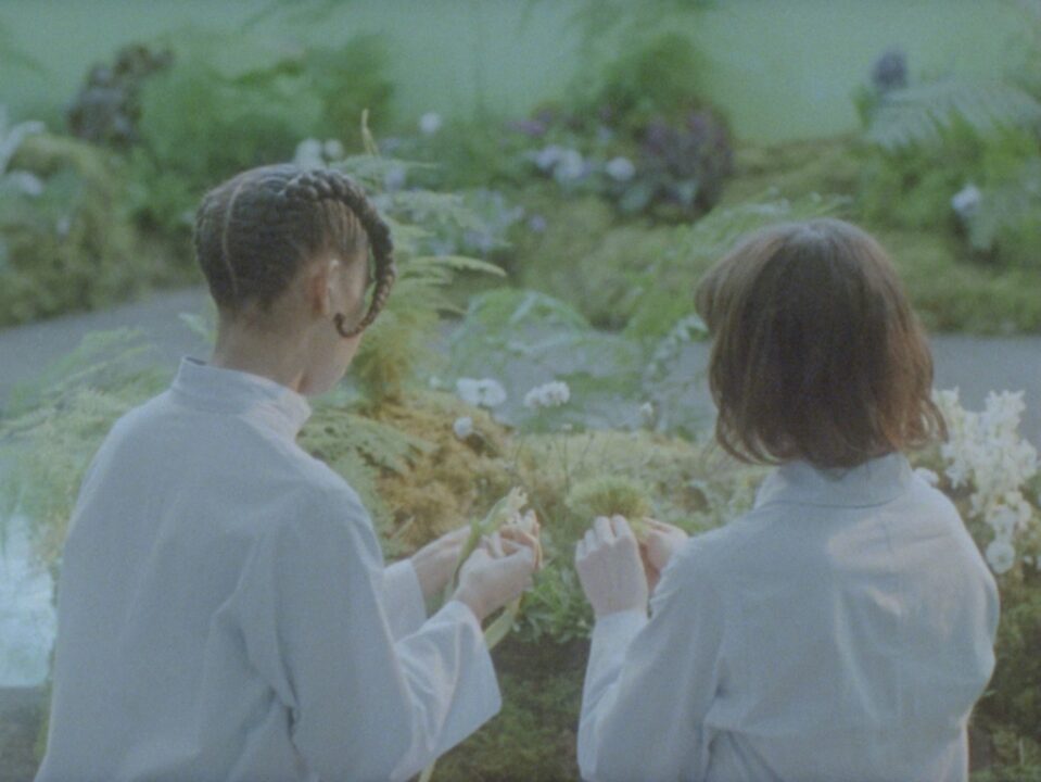 I was in a garden. It felt like it belonged. somewhere else