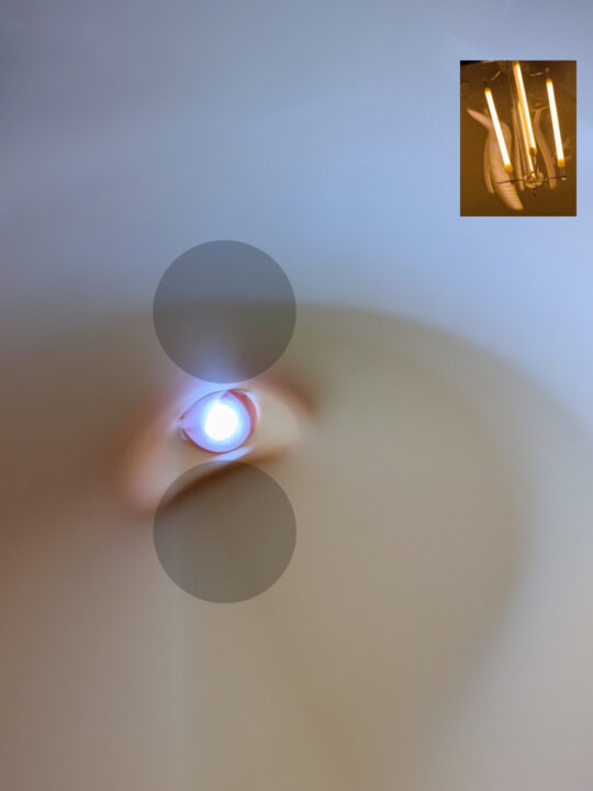 L'œil inversé
